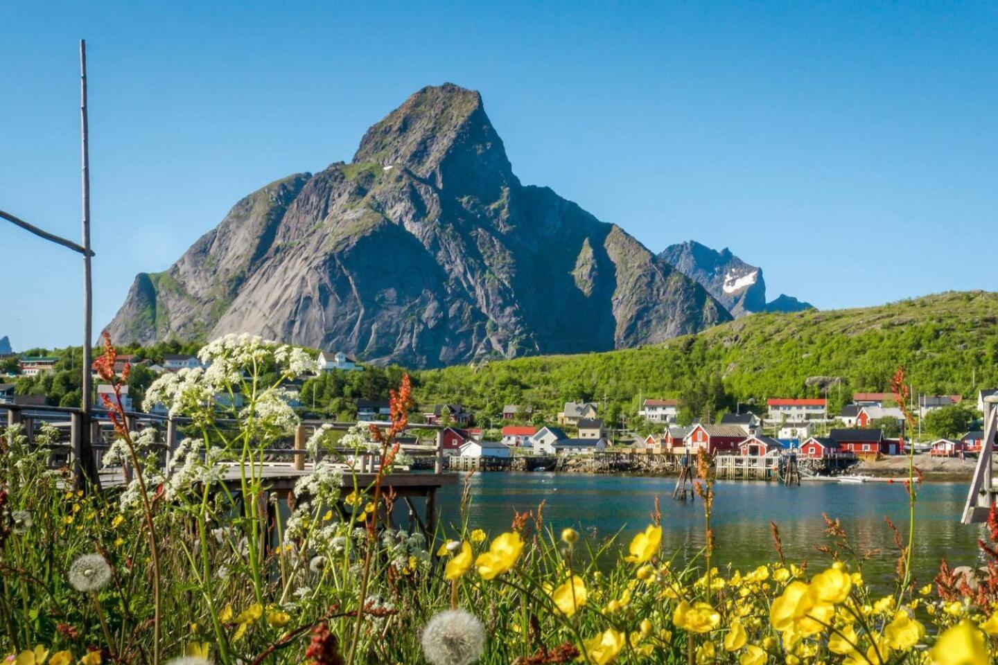 Reine Seaview Cabin Esterno foto